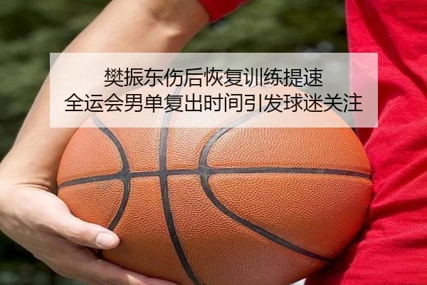 樊振东伤后恢复训练提速 全运会男单复出时间引发球迷关注
